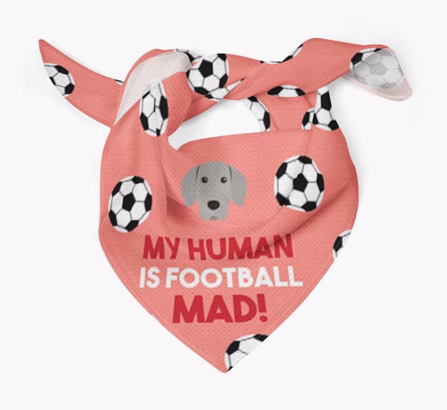 My Human Is Football Mad: Personalised {breedFullName} Bandana