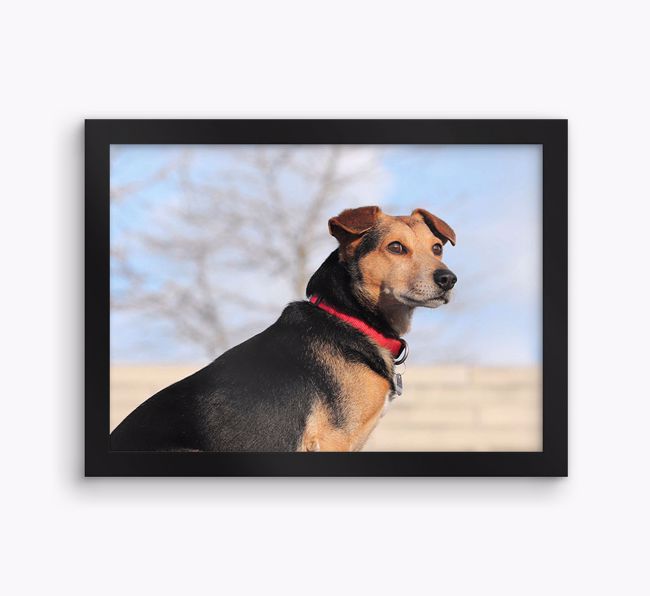 Photo Upload Landscape: Personalised {breedFullName} Framed Print