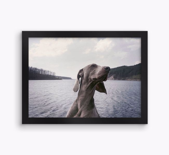 Photo Upload Landscape: Personalised {breedFullName} Framed Print