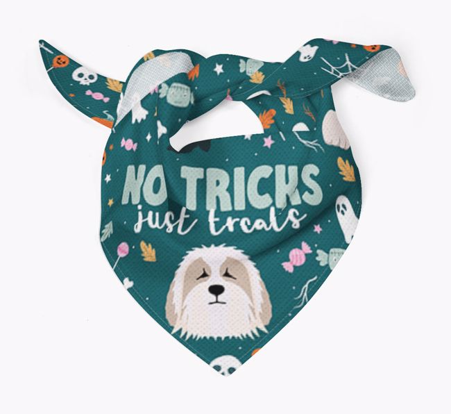 Personalized 'No Tricks Just Treats' Bandana for your {breedFullName}