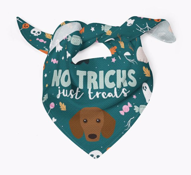 Personalised 'No Tricks Just Treats' Bandana for your {breedFullName}