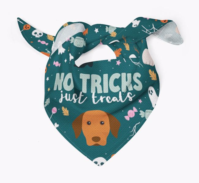 Personalised 'No Tricks Just Treats' Bandana for your {breedFullName}