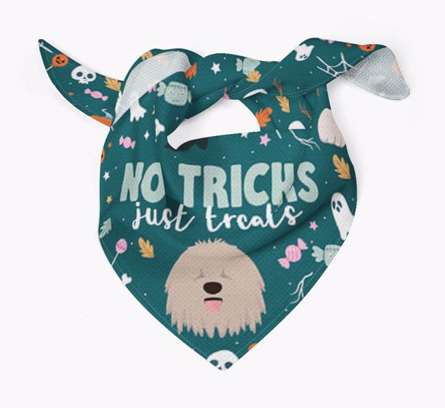 Personalised 'No Tricks Just Treats' Bandana for your {breedFullName}