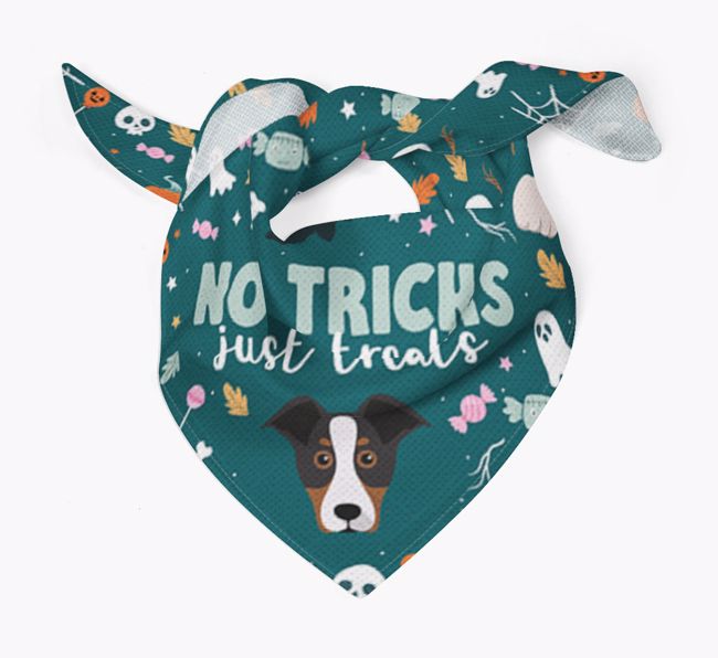 Personalised 'No Tricks Just Treats' Bandana for your {breedFullName}