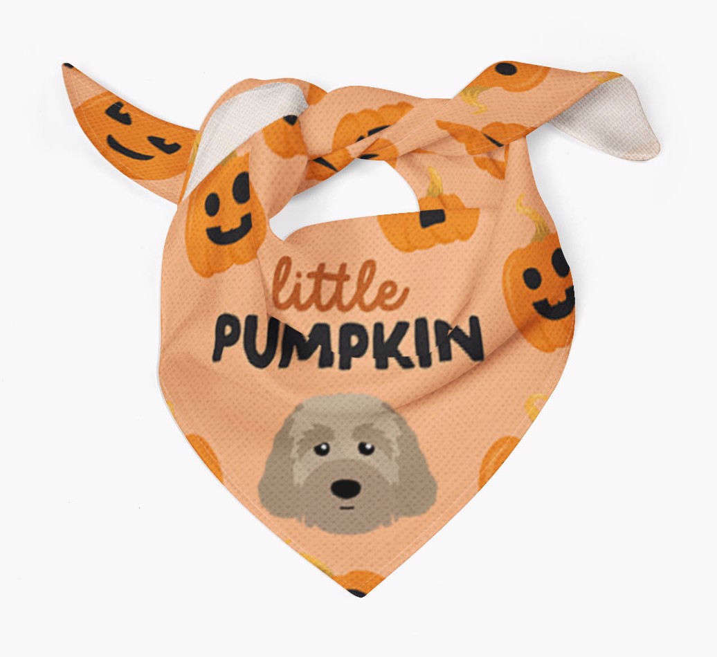 Little Pumpkin: Personalised {breedFullName} Bandana