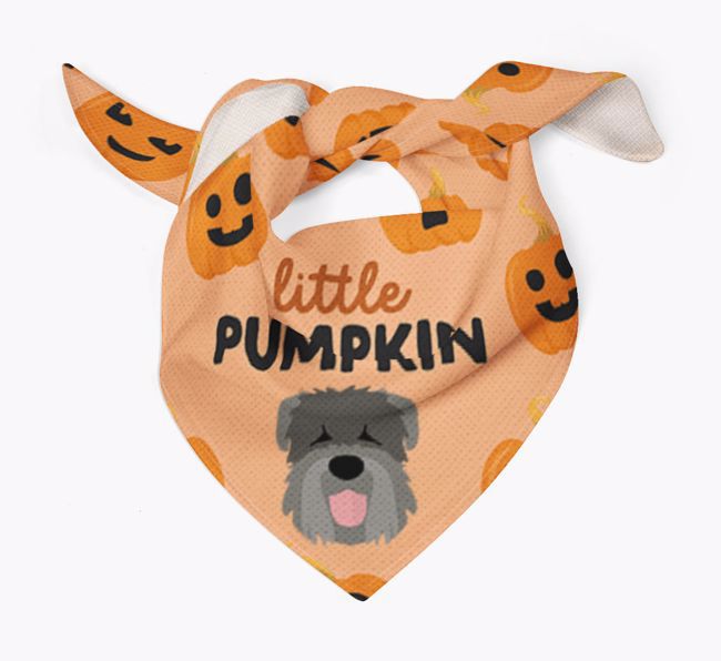 Personalised 'Little Pumpkin' Bandana for your {breedFullName}