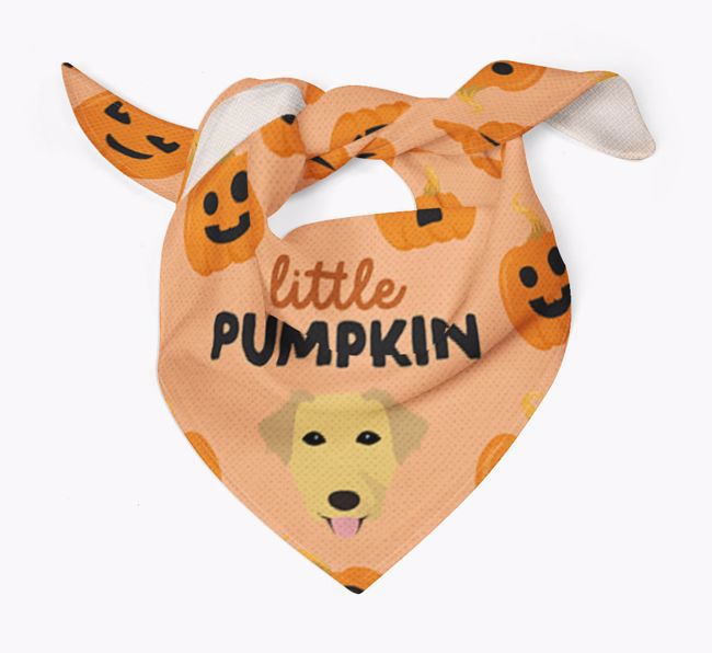 Personalized 'Little Pumpkin' Bandana for your {breedFullName}