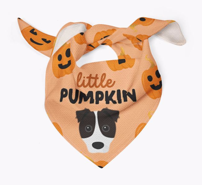 Personalised 'Little Pumpkin' Bandana for your {breedFullName}