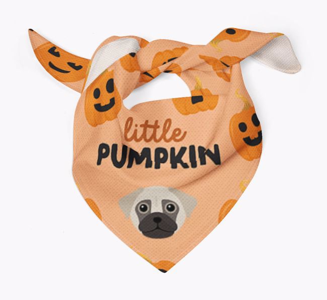 Personalised 'Little Pumpkin' Bandana for your {breedFullName}