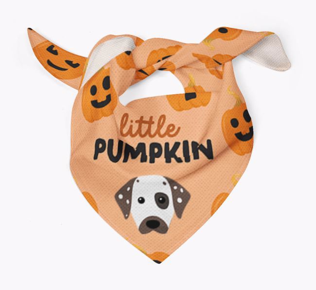 Personalised 'Little Pumpkin' Bandana for your {breedFullName}