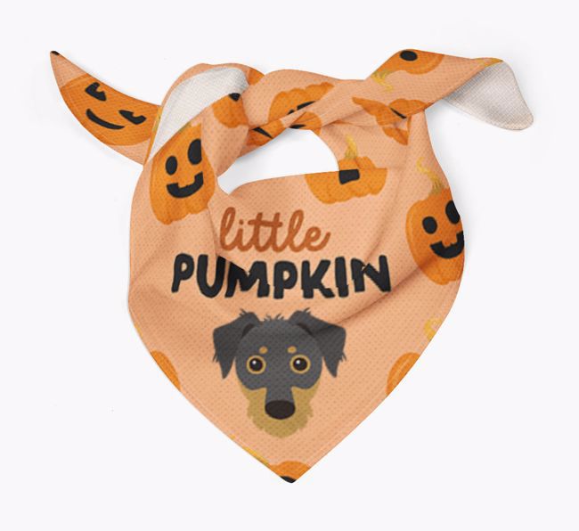 Personalised 'Little Pumpkin' Bandana for your {breedFullName}