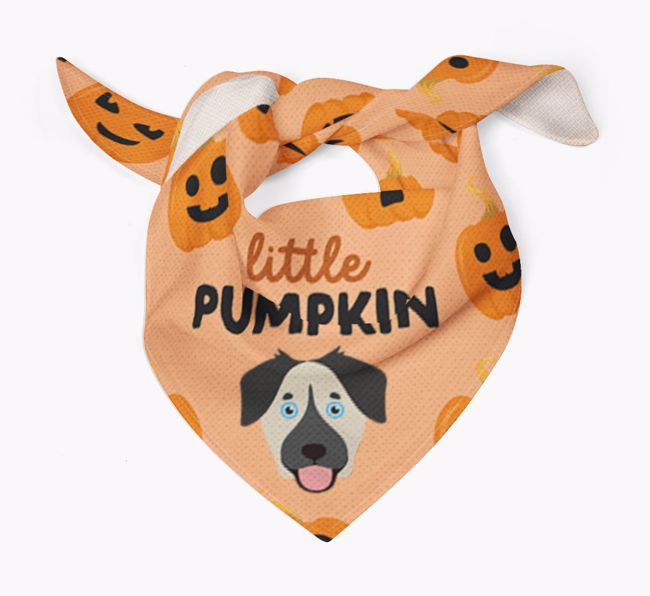 Personalised 'Little Pumpkin' Bandana for your {breedFullName}