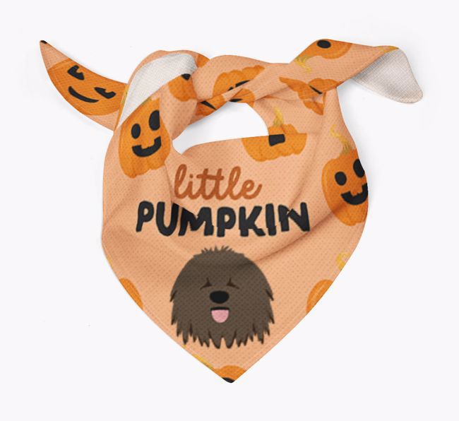 Personalised 'Little Pumpkin' Bandana for your {breedFullName}