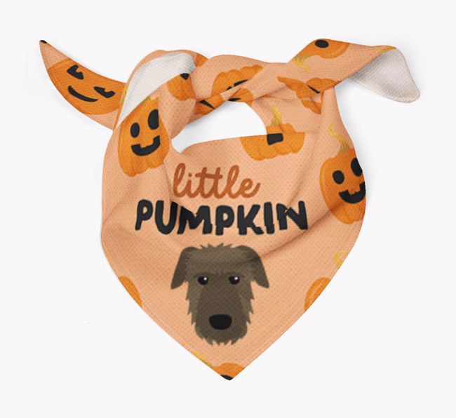 Personalised 'Little Pumpkin' Bandana for your {breedFullName}