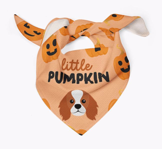 Personalised 'Little Pumpkin' Bandana for your {breedFullName}