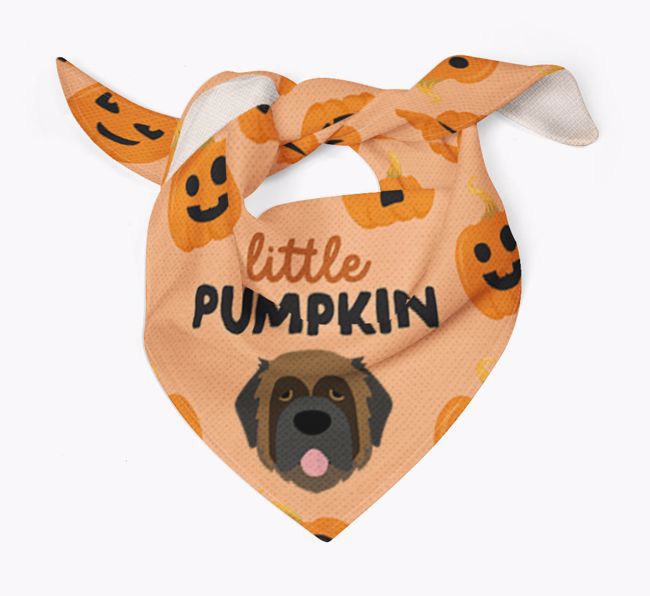 Personalized 'Little Pumpkin' Bandana for your {breedFullName}