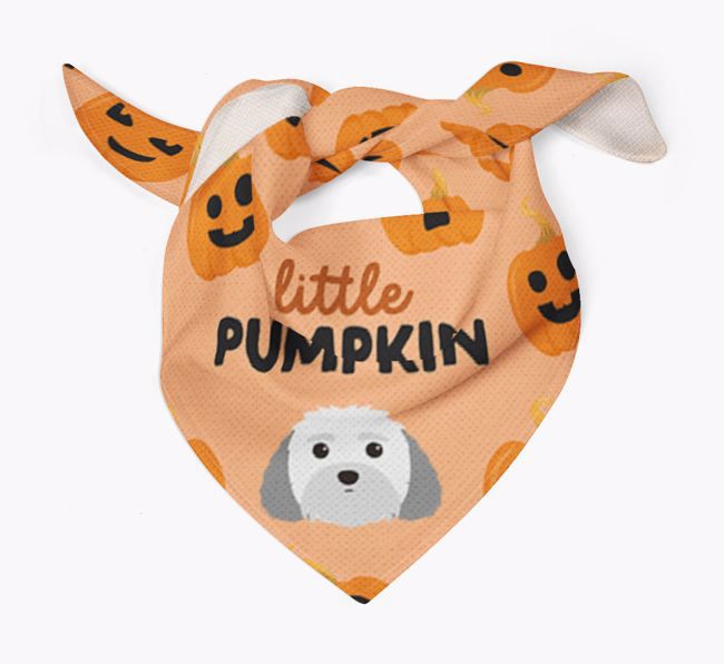 Personalised 'Little Pumpkin' Bandana for your {breedFullName}