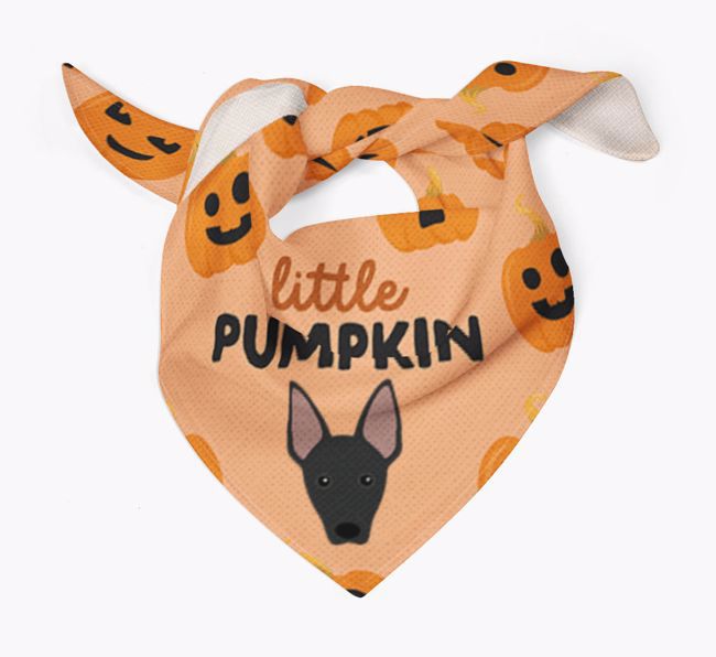 Personalised 'Little Pumpkin' Bandana for your {breedFullName}