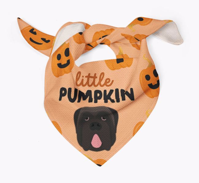 Personalised 'Little Pumpkin' Bandana for your {breedFullName}