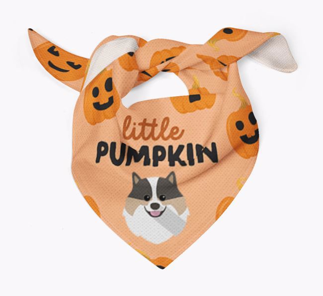 Personalised 'Little Pumpkin' Bandana for your {breedFullName}