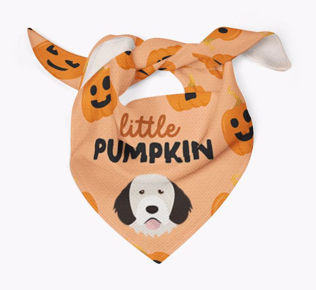 Personalized 'Little Pumpkin' Bandana for your {breedFullName}
