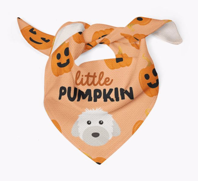 Personalized 'Little Pumpkin' Bandana for your {breedFullName}