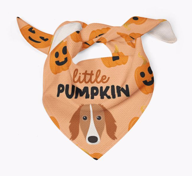 Personalised 'Little Pumpkin' Bandana for your {breedFullName}