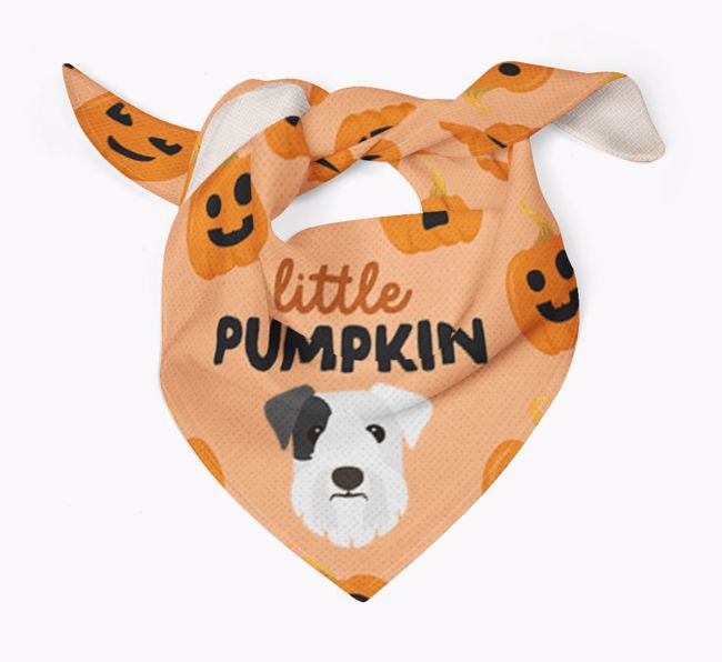 Personalised 'Little Pumpkin' Bandana for your {breedFullName}