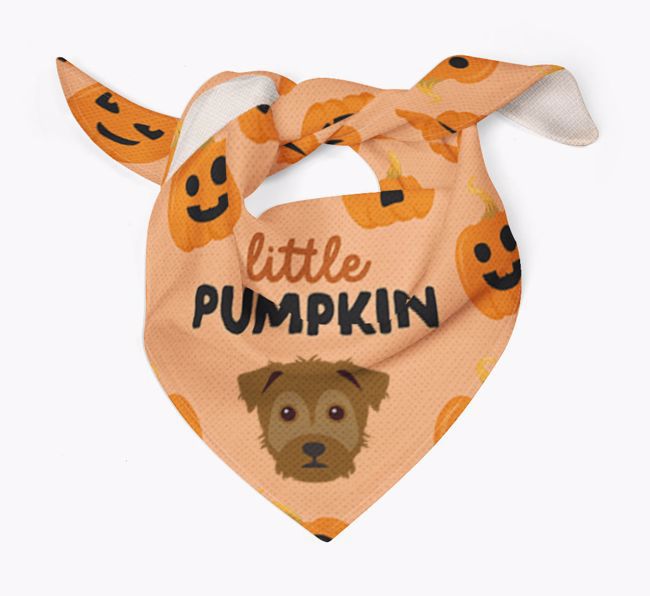 Personalised 'Little Pumpkin' Bandana for your {breedFullName}