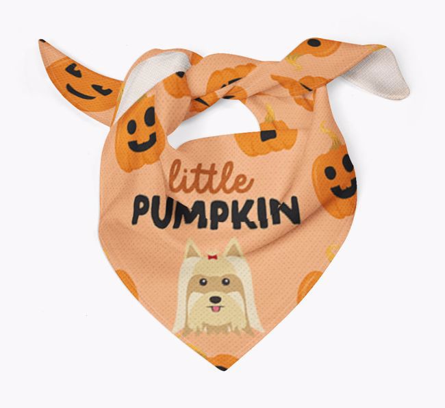 Personalised 'Little Pumpkin' Bandana for your {breedFullName}