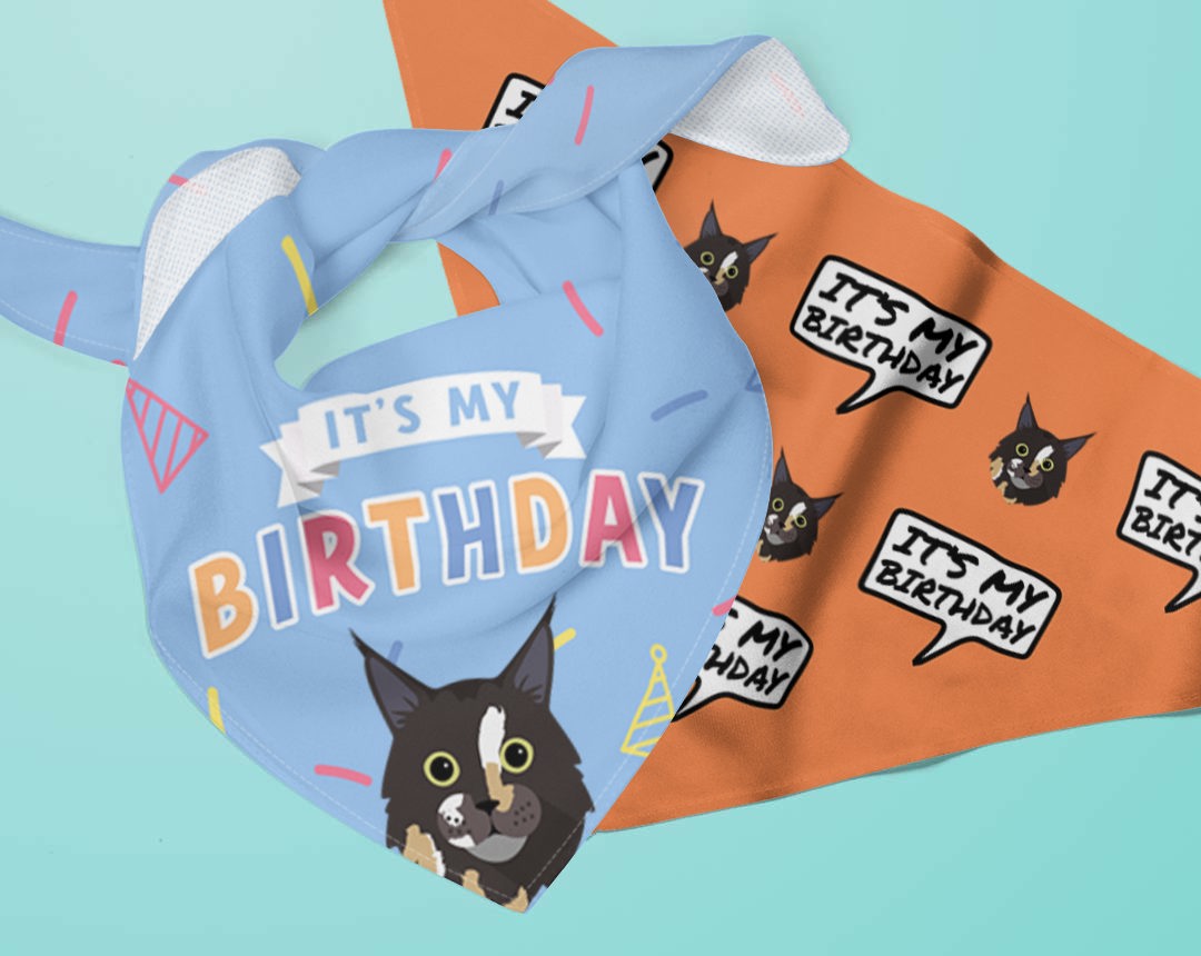 Personalised Birthday Bandanas for Cats