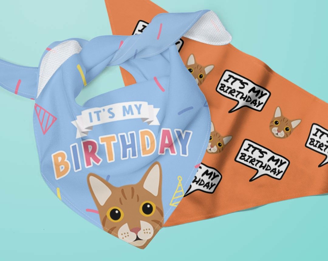 Personalised Birthday Bandanas for Cats