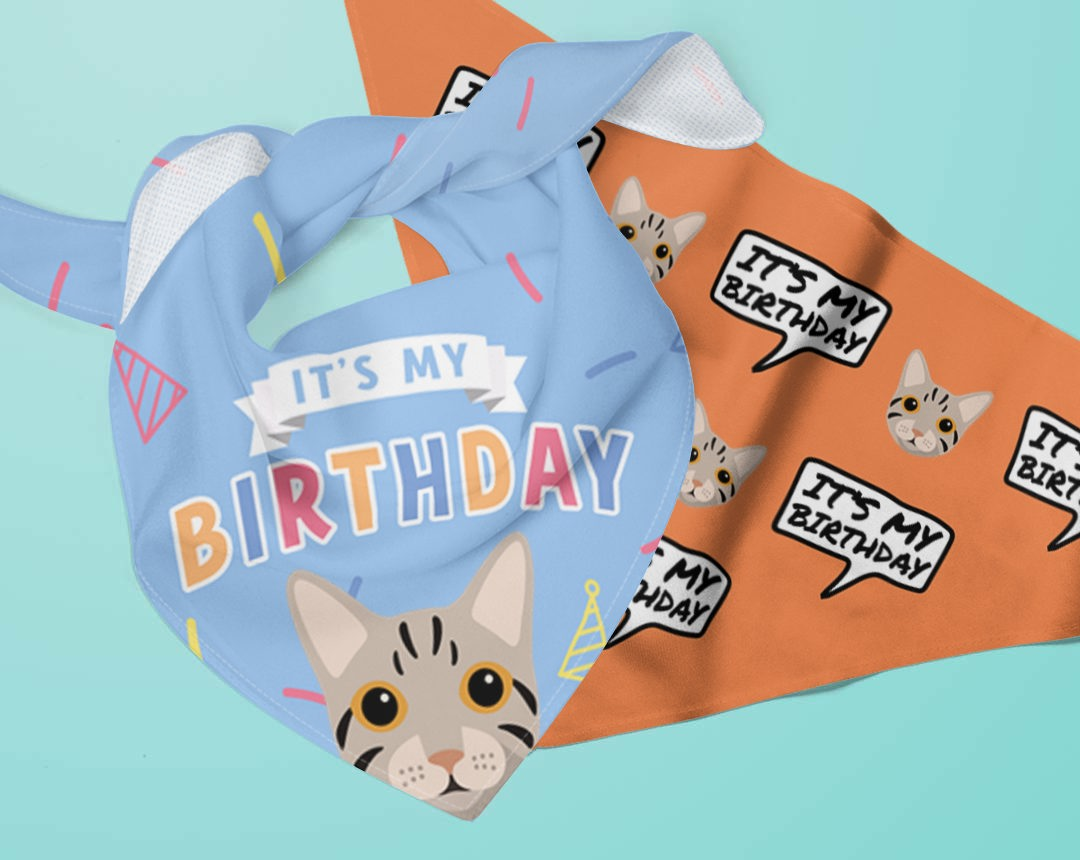 Personalised Birthday Bandanas for Cats