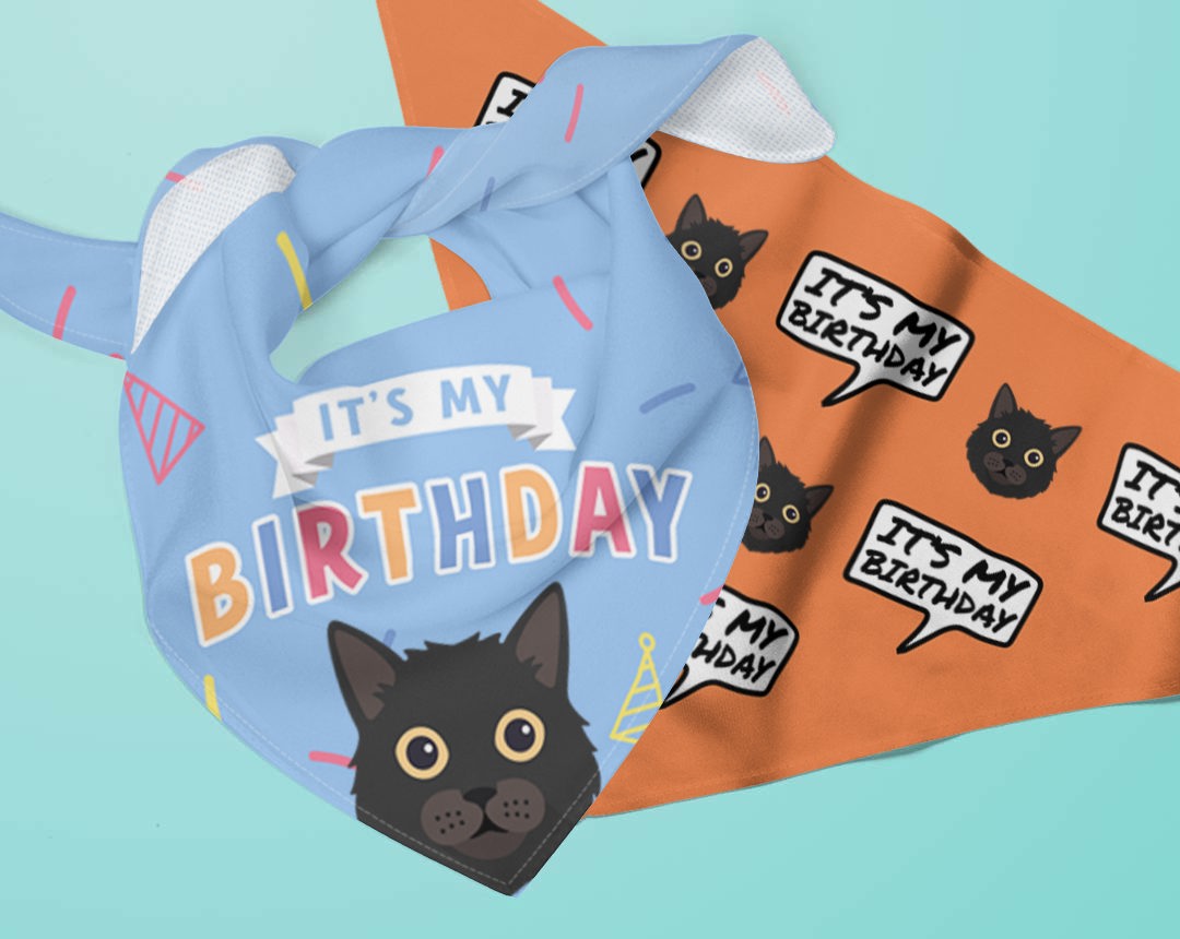 Personalised Birthday Bandanas for Cats