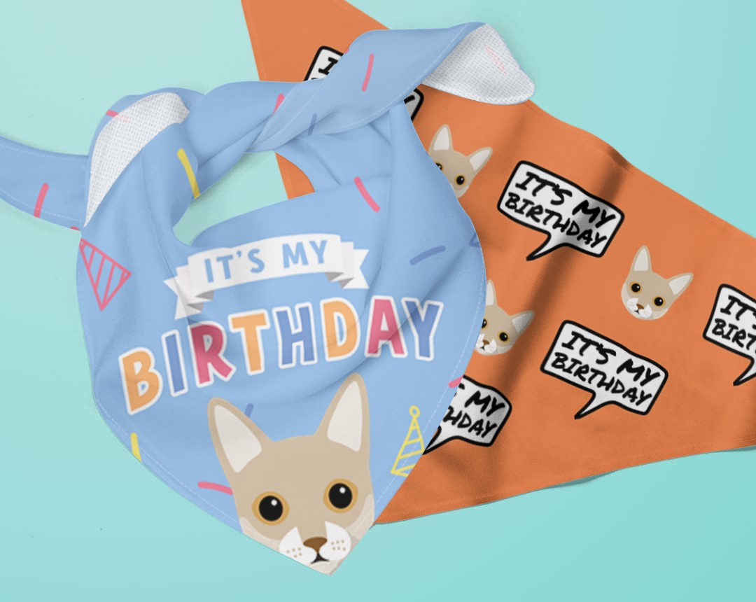 Personalised Birthday Bandanas for Cats