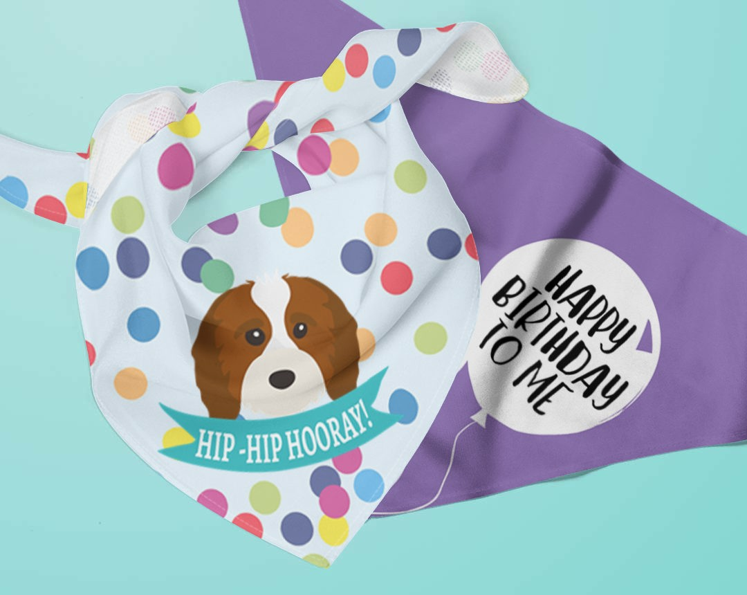 Two personalised dog bandanas with Birthday designs