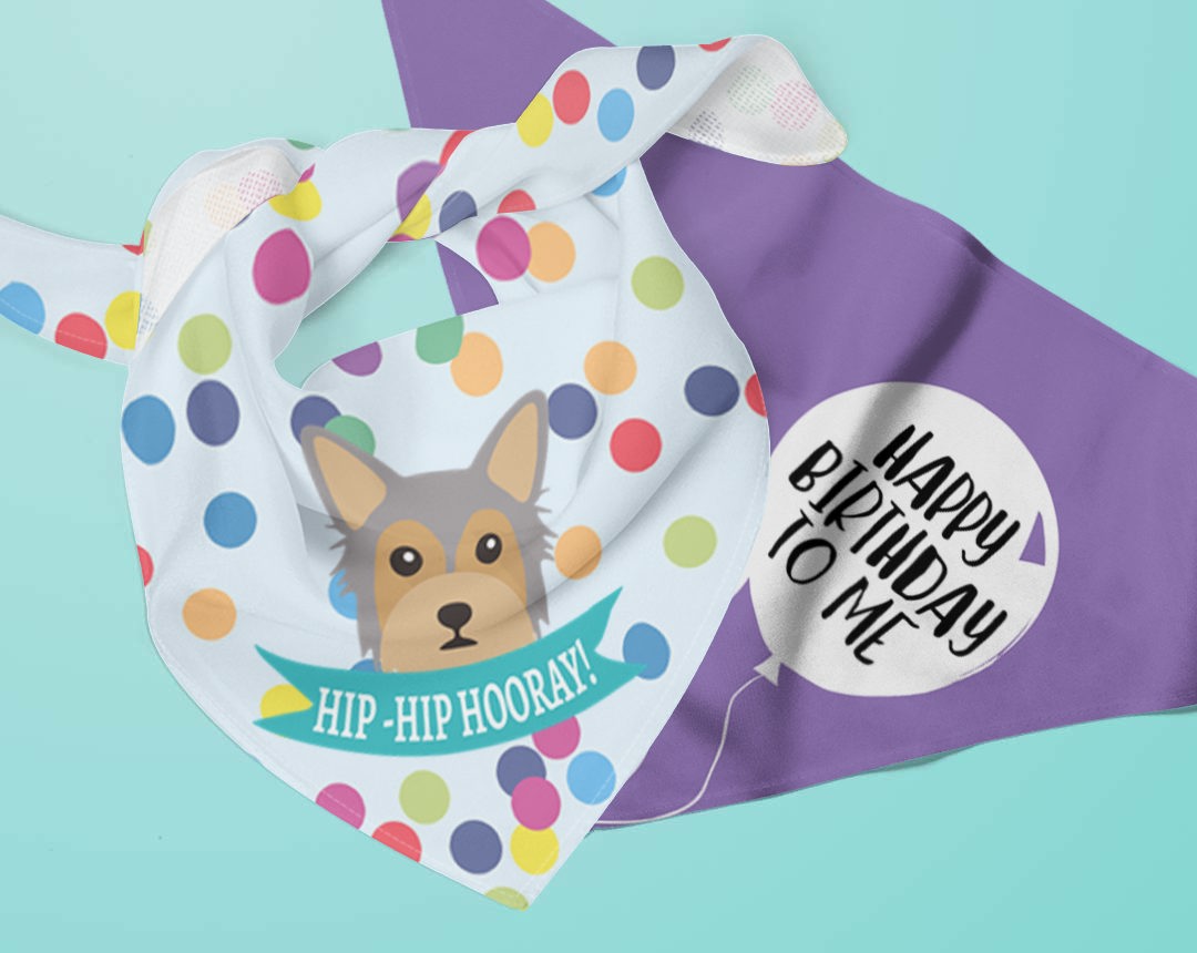 Two personalised dog bandanas with Birthday designs