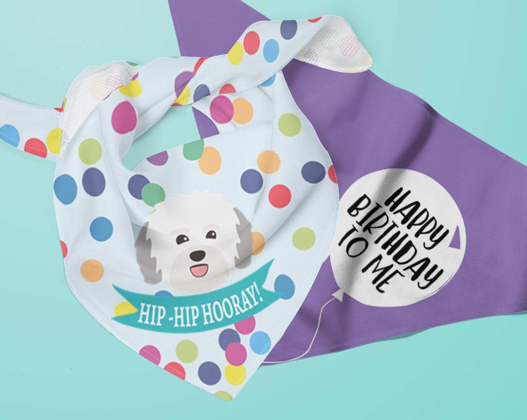 Two personalised dog bandanas with Birthday designs