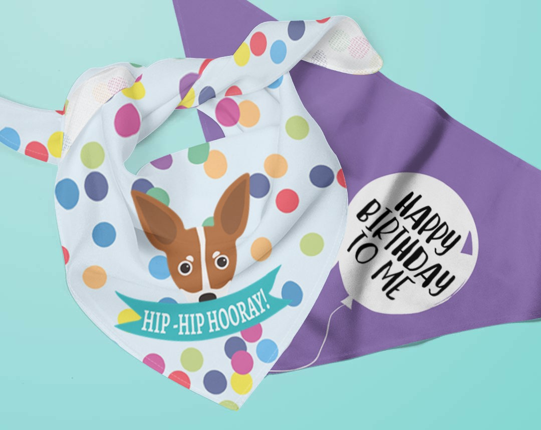 Two personalised dog bandanas with Birthday designs