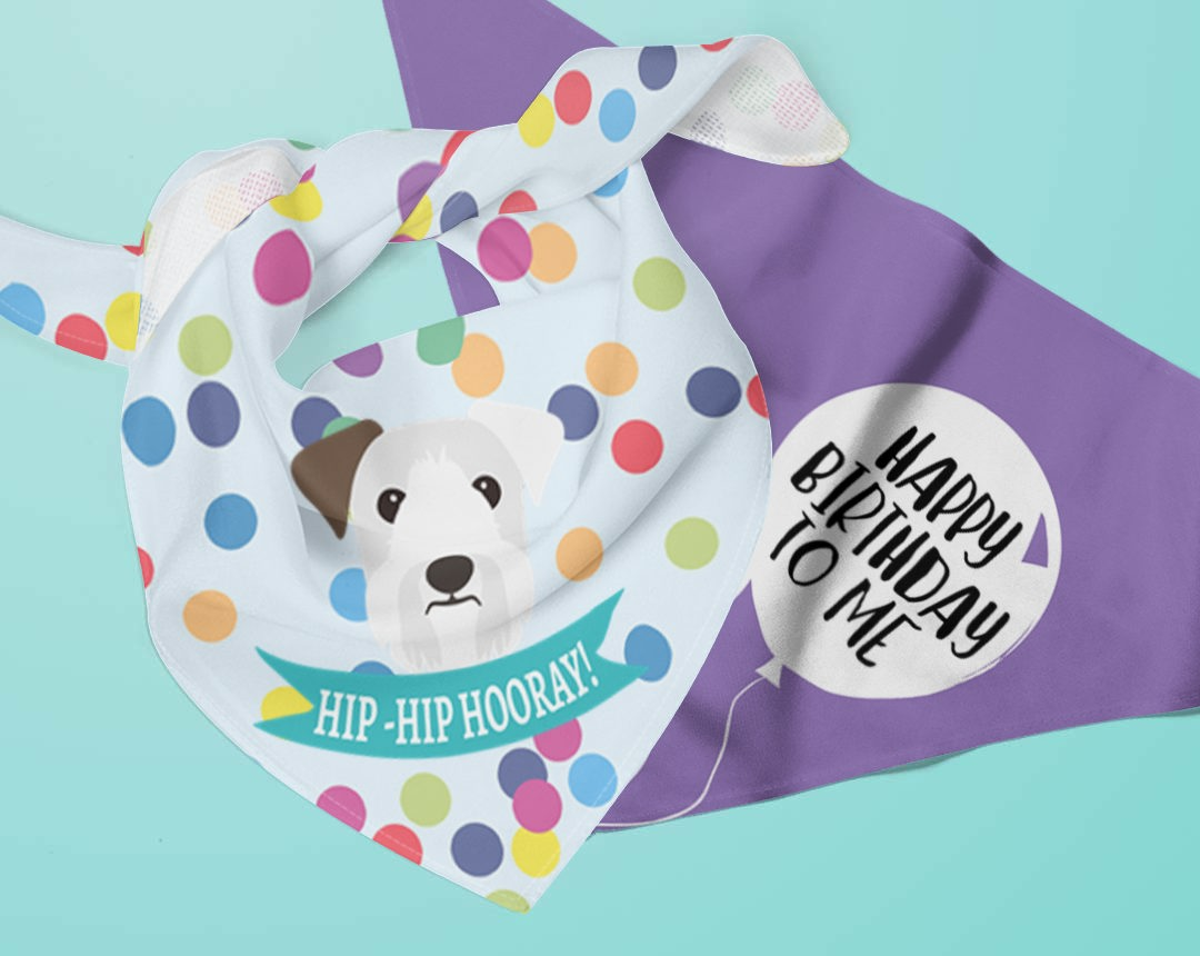 Two personalised dog bandanas with Birthday designs