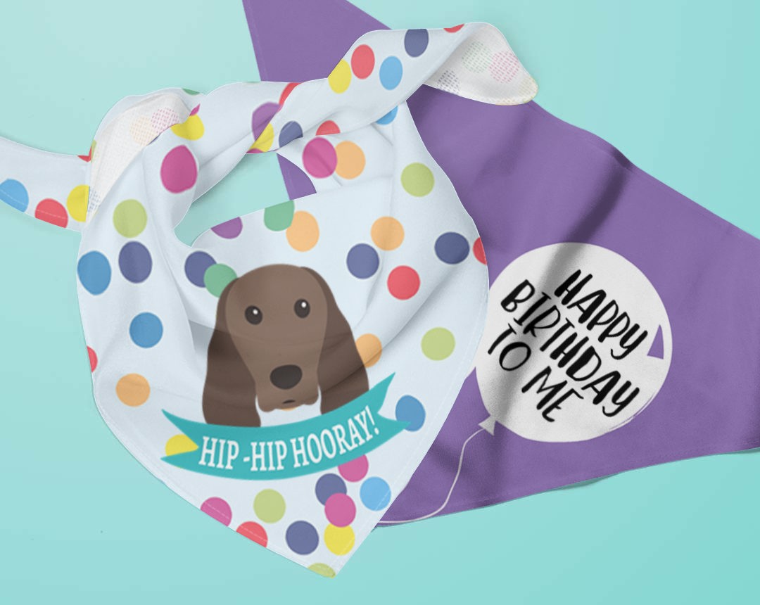 Two personalised dog bandanas with Birthday designs