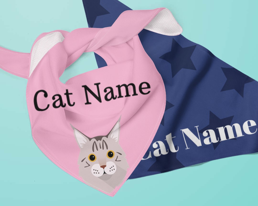 Personalised Cat Bandanas