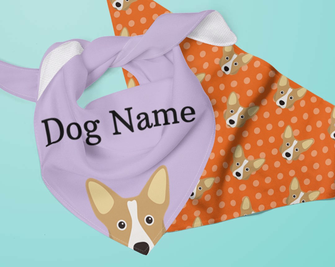 Two Personalized Dog Bandanas