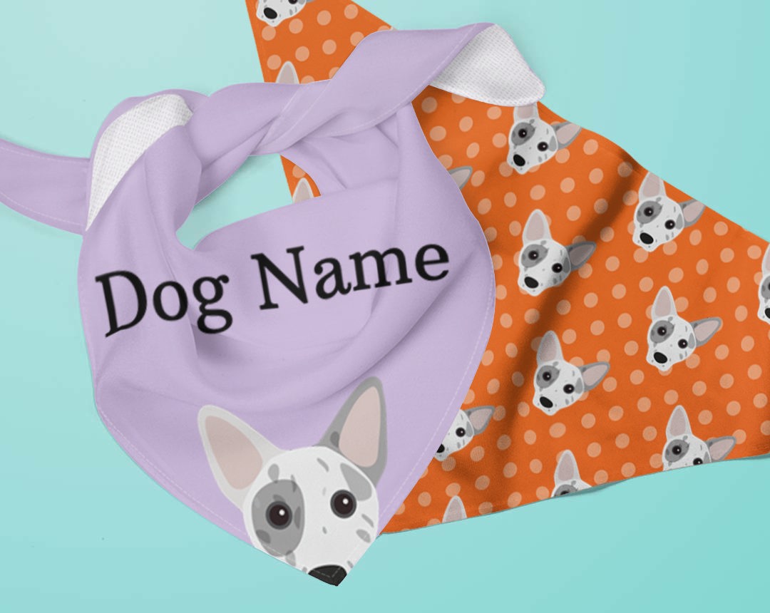 Two dog bandanas personalised for your dog