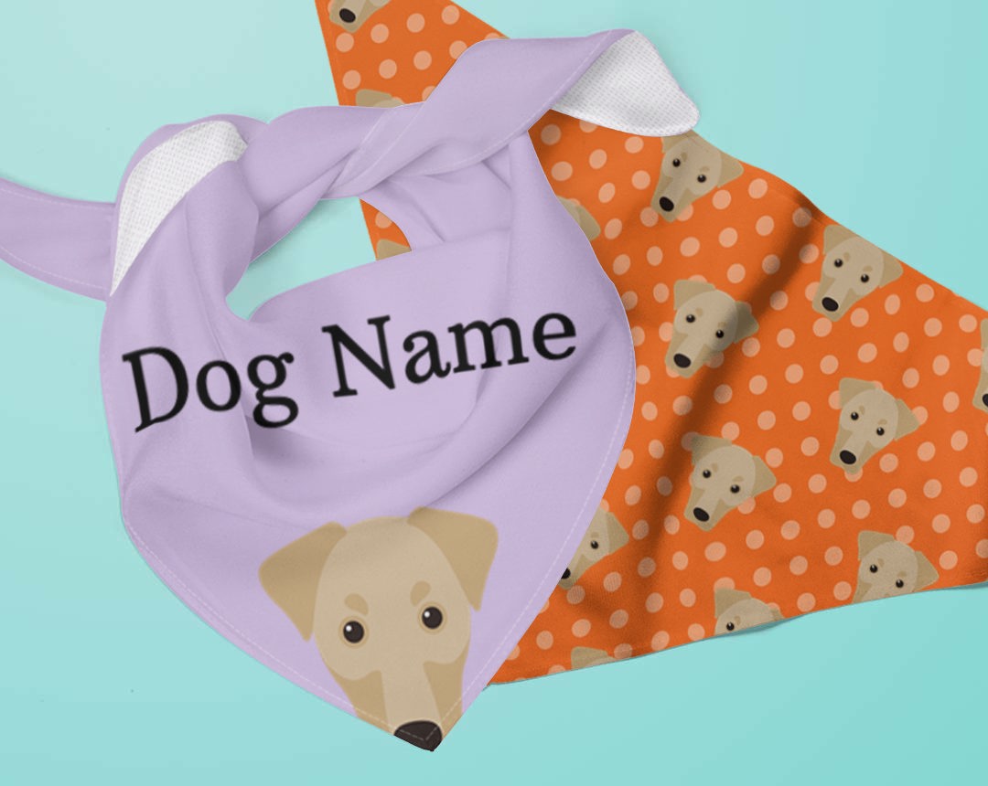 Two dog bandanas personalised for your dog