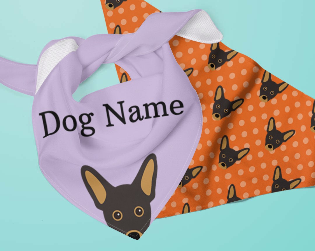 Two Personalized Dog Bandanas