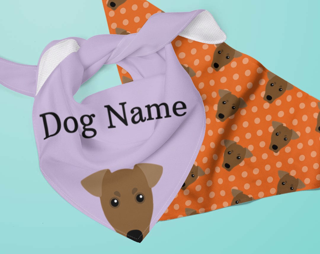 Two dog bandanas personalised for your dog