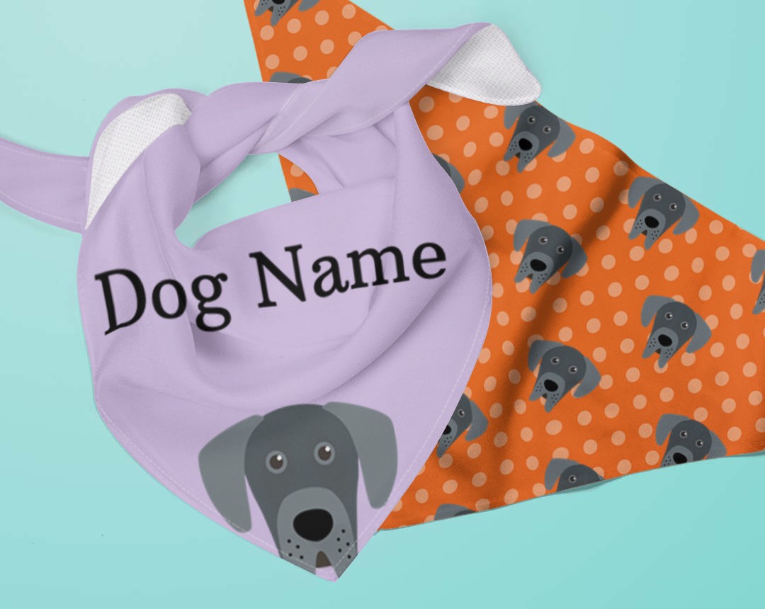 Two dog bandanas personalised for your dog