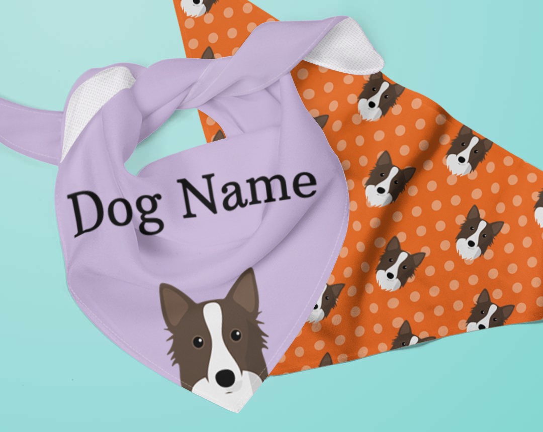 Two dog bandanas personalised for your dog