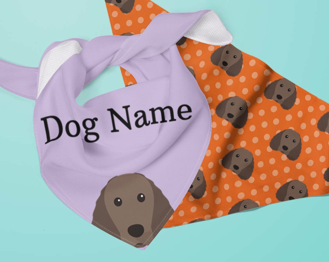 Two dog bandanas personalised for your dog